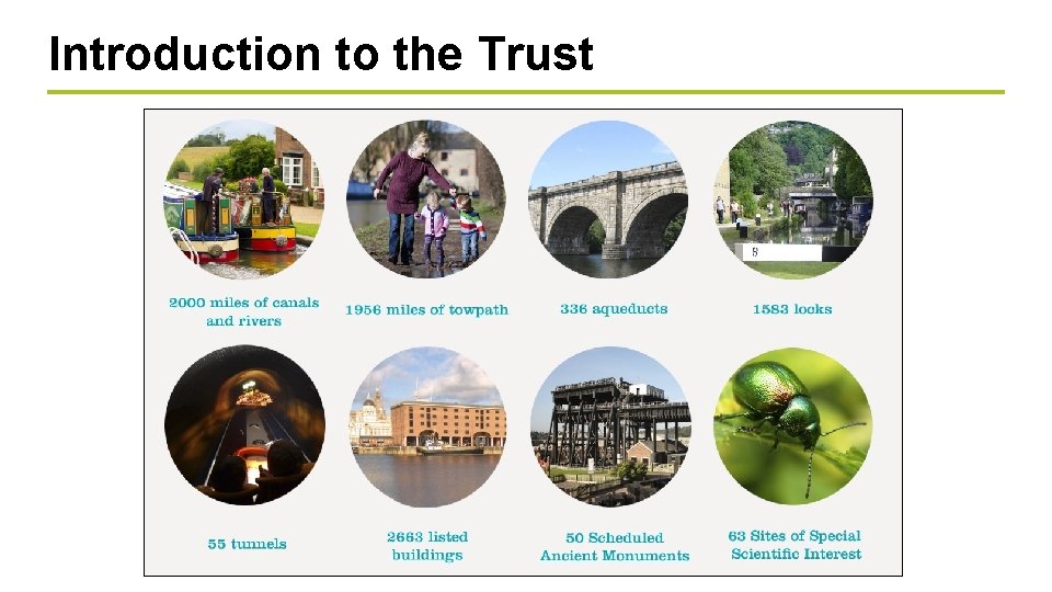 Introduction to the Trust 