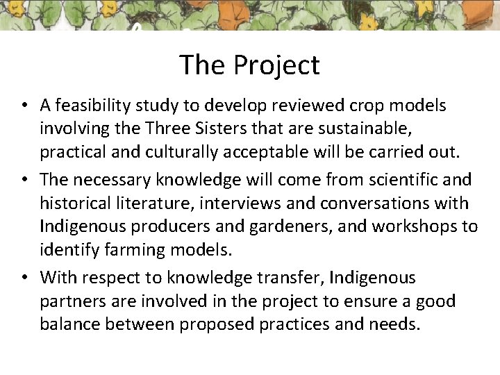 The Project • A feasibility study to develop reviewed crop models involving the Three