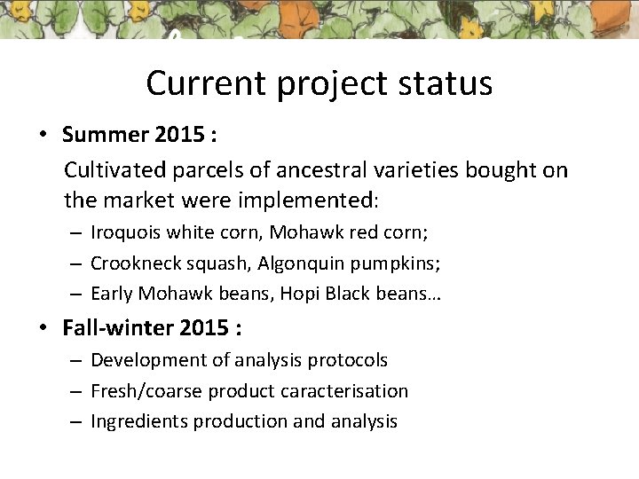 Current project status • Summer 2015 : Cultivated parcels of ancestral varieties bought on