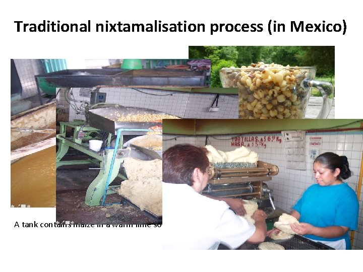 Traditional nixtamalisation process (in Mexico) A tank contains maize in a warm lime solution.
