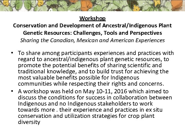 Workshop Conservation and Development of Ancestral/Indigenous Plant Genetic Resources: Challenges, Tools and Perspectives Sharing