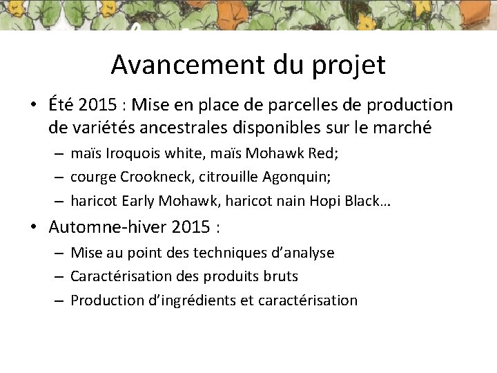 Avancement du projet • Été 2015 : Mise en place de parcelles de production