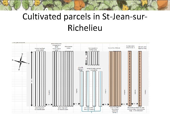 Cultivated parcels in St-Jean-sur. Richelieu 