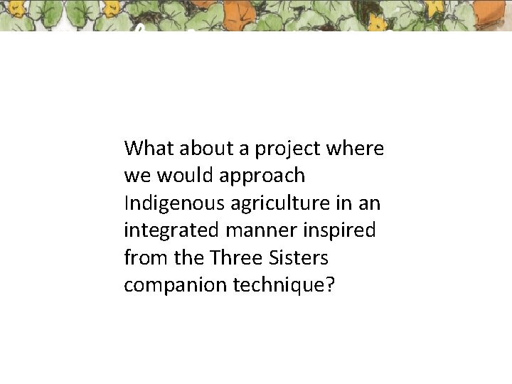 What about a project where we would approach Indigenous agriculture in an integrated manner