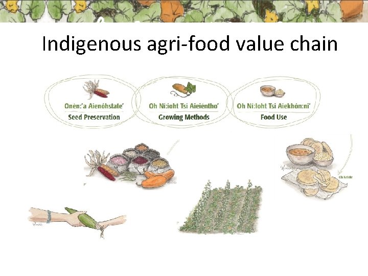 Indigenous agri-food value chain 