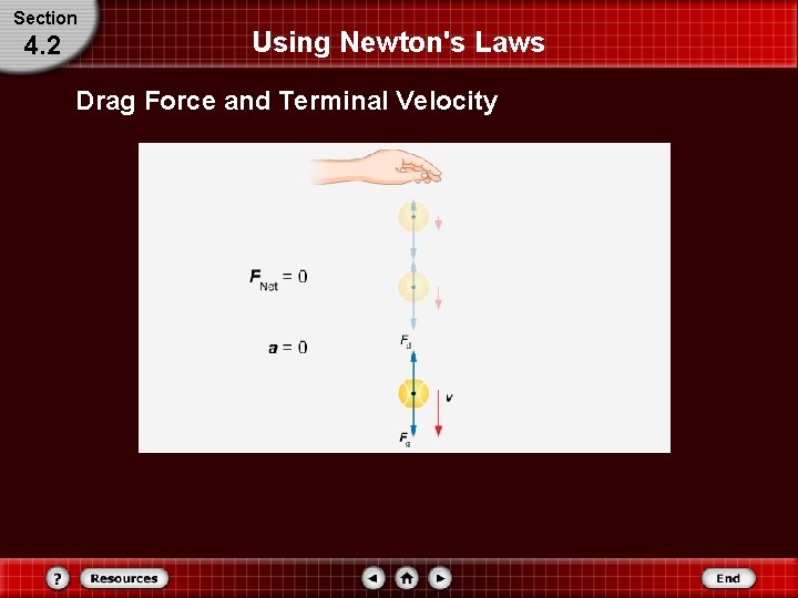 Section 4. 2 Using Newton's Laws Drag Force and Terminal Velocity 