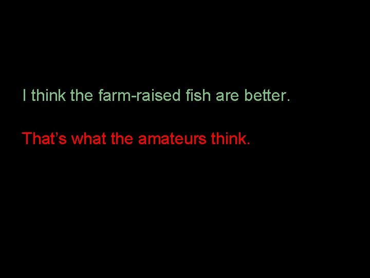 I think the farm-raised fish are better. That’s what the amateurs think. 