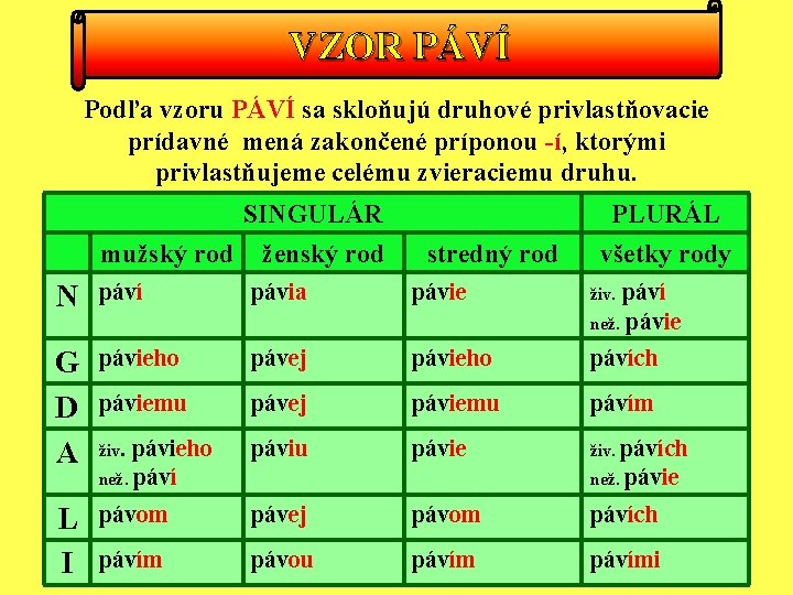 VZOR PÁVÍ Podľa vzoru PÁVÍ sa skloňujú druhové privlastňovacie prídavné mená zakončené príponou -í,