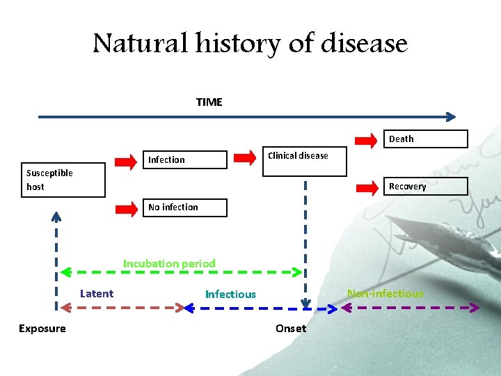 Natural history of disease TIME Death Clinical disease Infection Susceptible host Recovery No infection