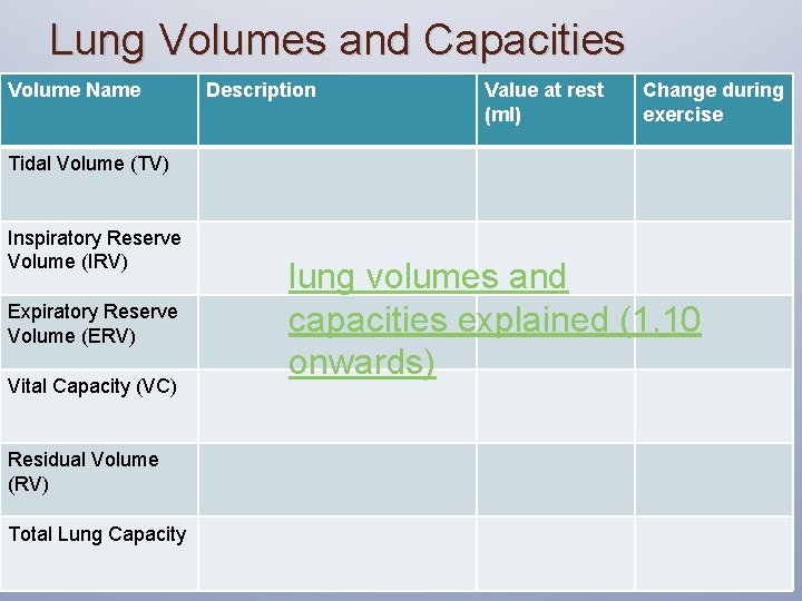 Lung Volumes and Capacities Volume Name Description Value at rest (ml) Change during exercise