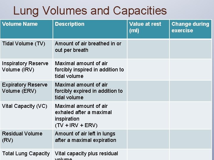 Lung Volumes and Capacities Volume Name Description Tidal Volume (TV) Amount of air breathed