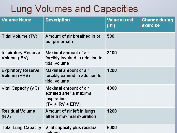Lung Volumes and Capacities Volume Name Description Value at rest (ml) Tidal Volume (TV)
