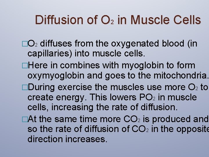 Diffusion of O 2 in Muscle Cells �O 2 diffuses from the oxygenated blood