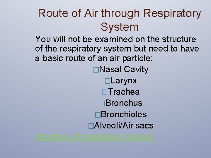 Route of Air through Respiratory System You will not be examined on the structure