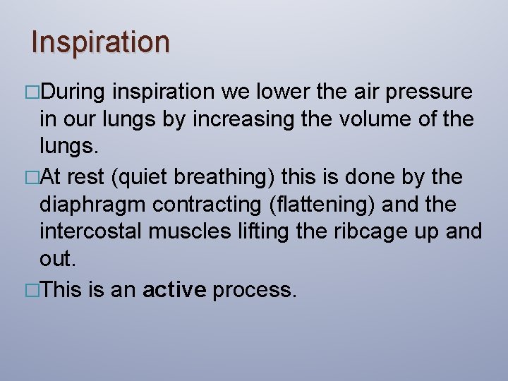 Inspiration �During inspiration we lower the air pressure in our lungs by increasing the