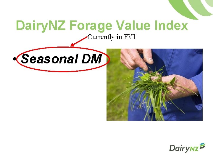 Dairy. NZ Forage Value Index Currently in FVI • Seasonal DM 