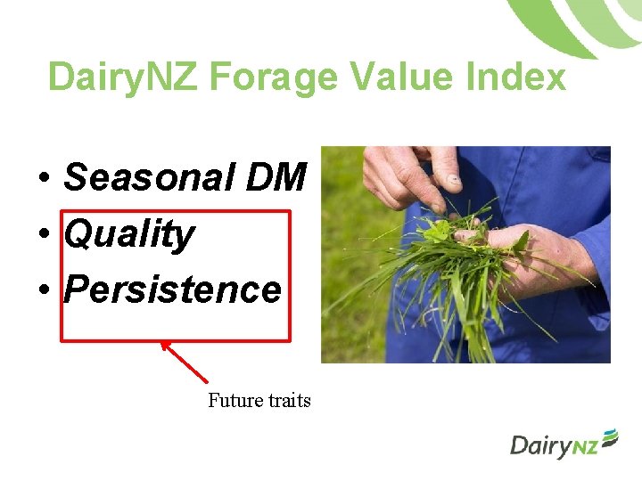 Dairy. NZ Forage Value Index • Seasonal DM • Quality • Persistence Future traits