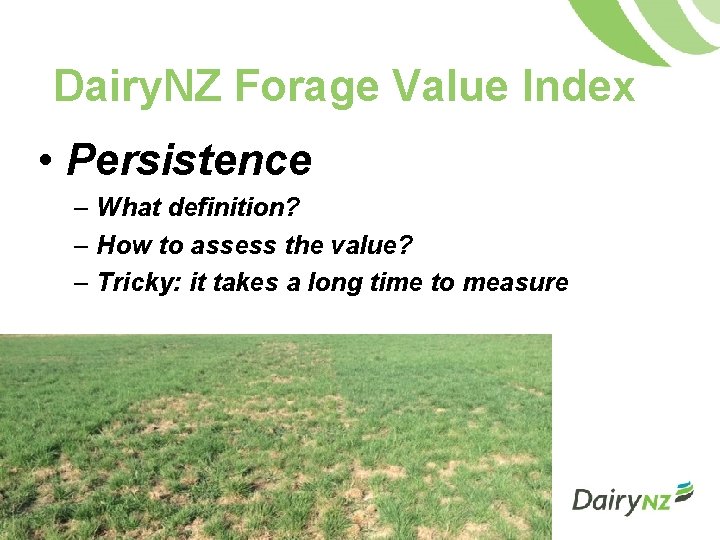 Dairy. NZ Forage Value Index • Persistence – What definition? – How to assess
