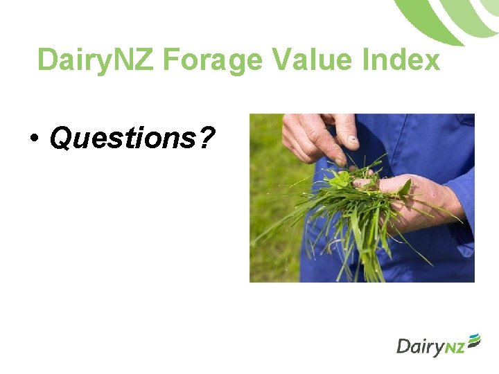 Dairy. NZ Forage Value Index • Questions? 