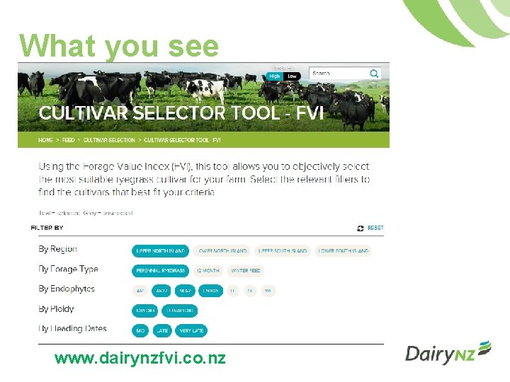 What you see www. dairynzfvi. co. nz 