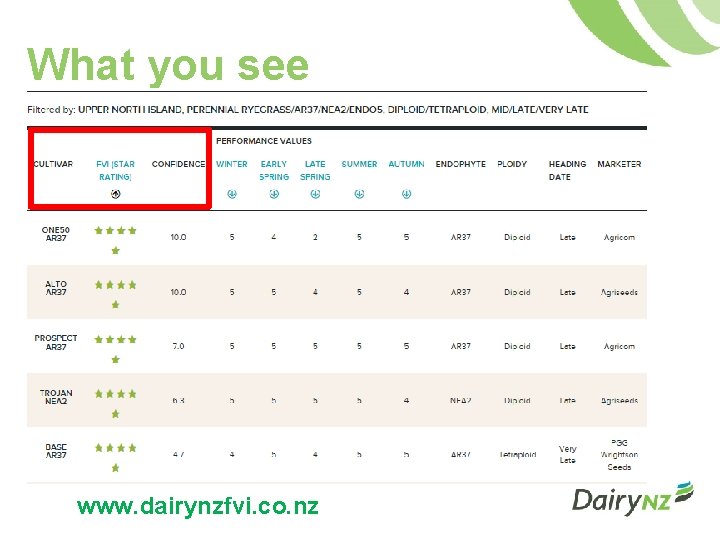 What you see www. dairynzfvi. co. nz 