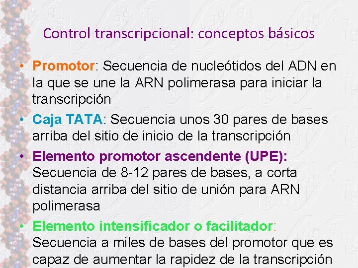 Control transcripcional: conceptos básicos • Promotor: Secuencia de nucleótidos del ADN en la que