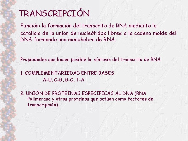 TRANSCRIPCIÓN Función: la formación del transcrito de RNA mediante la catálisis de la unión