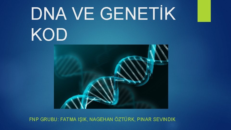 DNA VE GENETİK KOD FNP GRUBU: FATMA IŞIK, NAGEHAN ÖZTÜRK, PINAR SEVINDIK 