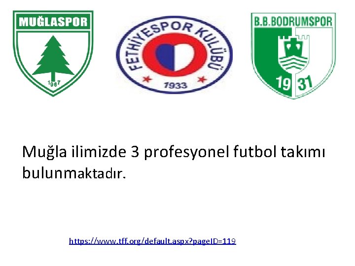 Muğla ilimizde 3 profesyonel futbol takımı bulunmaktadır. https: //www. tff. org/default. aspx? page. ID=119