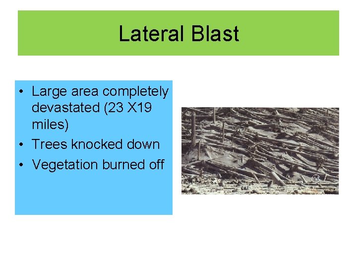 Lateral Blast • Large area completely devastated (23 X 19 miles) • Trees knocked