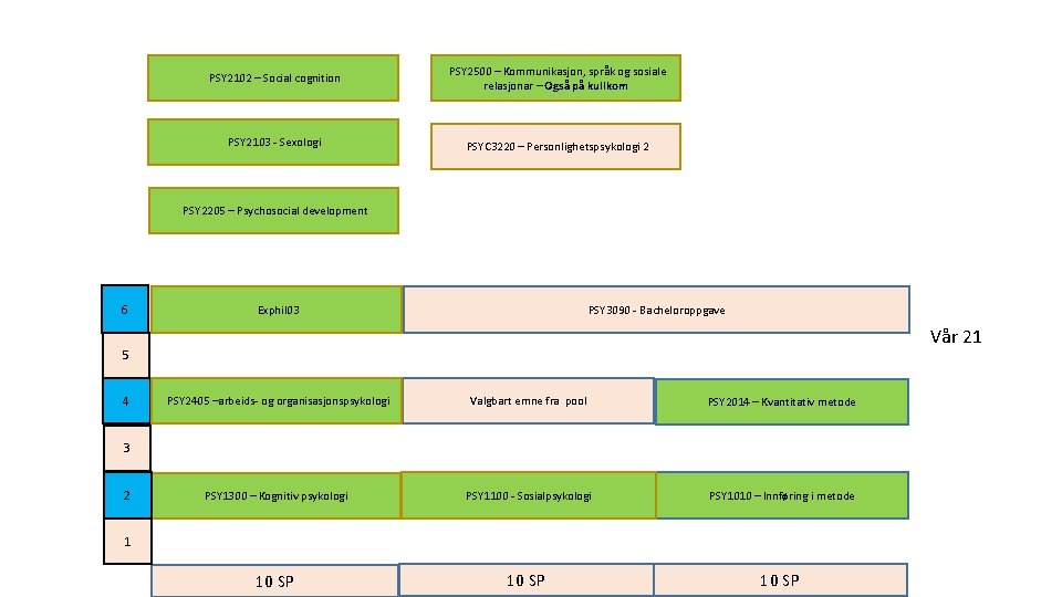 PSY 2102 – Social cognition PSY 2500 – Kommunikasjon, språk og sosiale relasjonar –