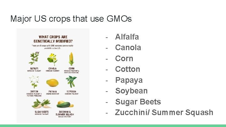 Major US crops that use GMOs - Alfalfa Canola Corn Cotton Papaya Soybean Sugar
