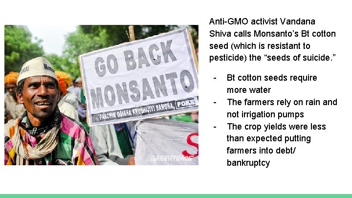 Anti-GMO activist Vandana Shiva calls Monsanto’s Bt cotton seed (which is resistant to pesticide)
