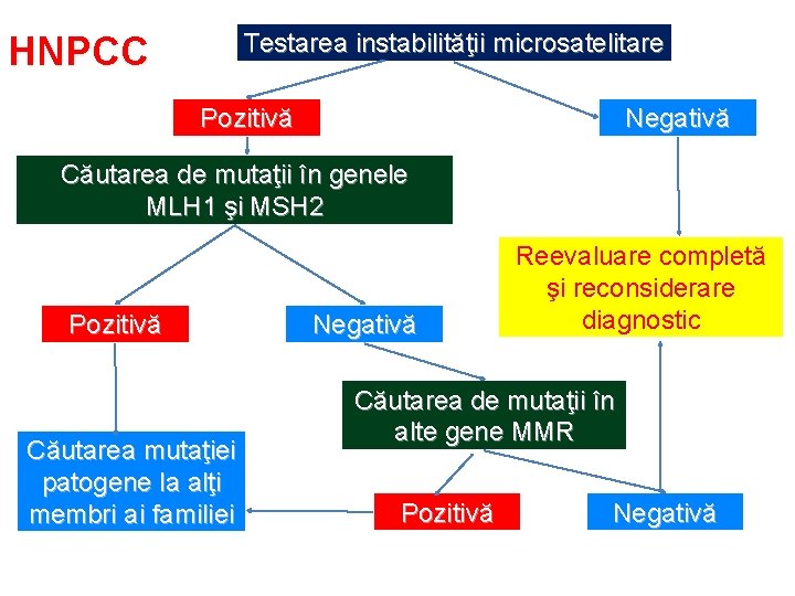 Testarea instabilităţii microsatelitare HNPCC Pozitivă Negativă Căutarea de mutaţii în genele MLH 1 şi