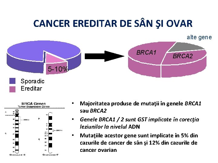 CANCER EREDITAR DE S N ŞI OVAR alte gene BRCA 1 BRCA 2 5