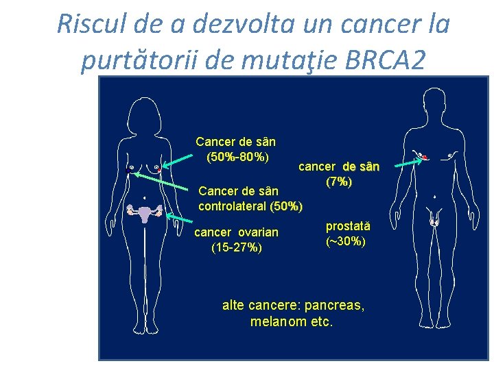 Riscul de a dezvolta un cancer la purtătorii de mutaţie BRCA 2 Cancer de