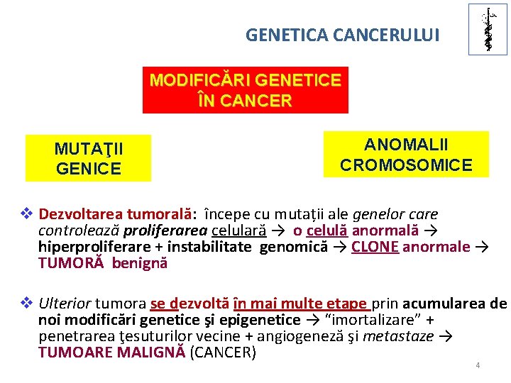 U. M. F IAŞI GENETICA CANCERULUI MODIFICĂRI GENETICE ÎN CANCER MUTAŢII GENICE ANOMALII CROMOSOMICE