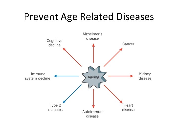 Prevent Age Related Diseases 