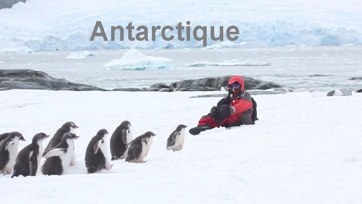 Antarctique 