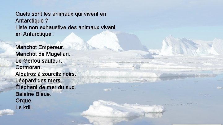 Quels sont les animaux qui vivent en Antarctique ? Liste non exhaustive des animaux