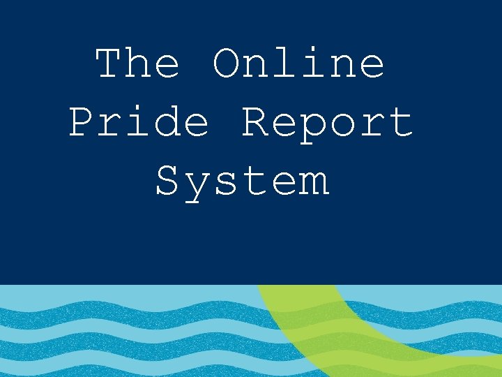 The Online Pride Report System This will be referred to as the OPR system