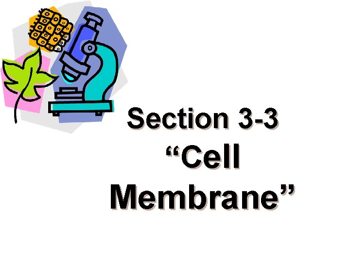Section 3 -3 “Cell Membrane” 