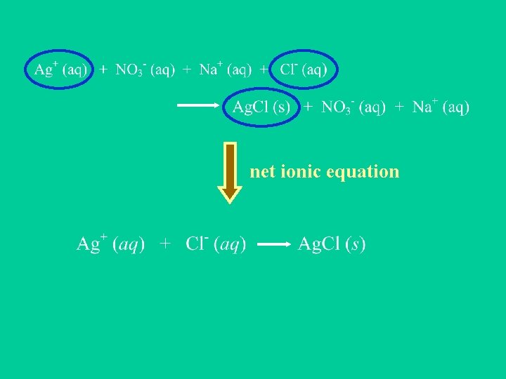 net ionic equation 