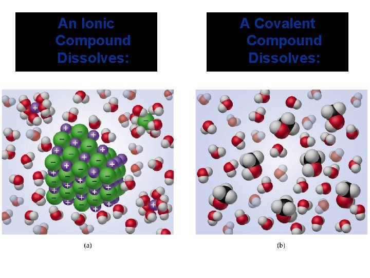 An Ionic Compound Dissolves: A Covalent Compound Dissolves: 