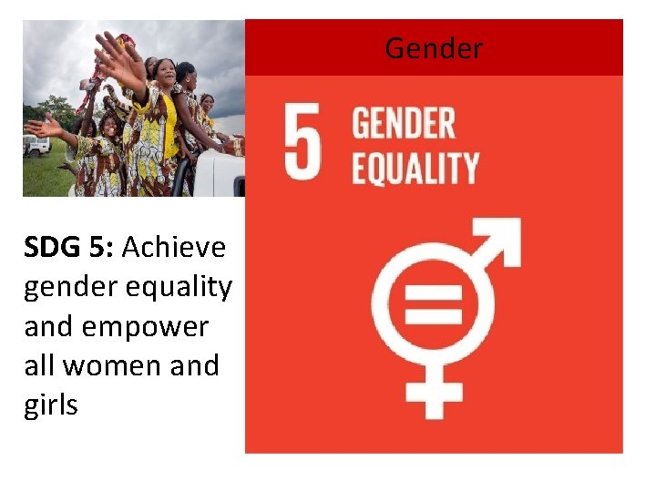 Gender SDG 5: Achieve gender equality and empower all women and girls 