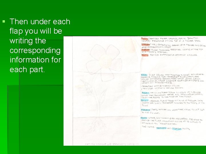 § Then under each flap you will be writing the corresponding information for each