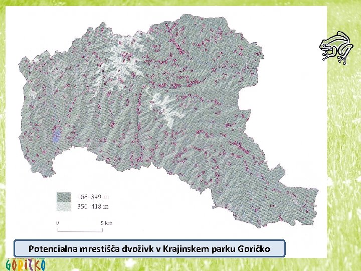 Potencialna mrestišča dvoživk v Krajinskem parku Goričko 