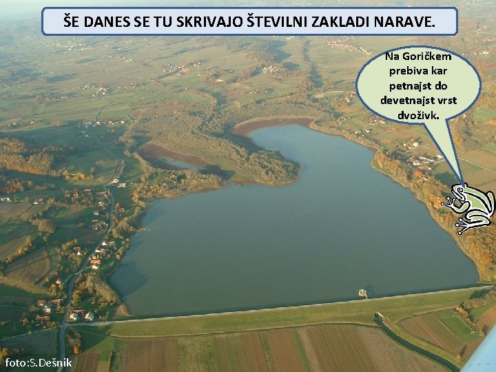 ŠE DANES SE TU SKRIVAJO ŠTEVILNI ZAKLADI NARAVE. Na Goričkem prebiva kar petnajst do