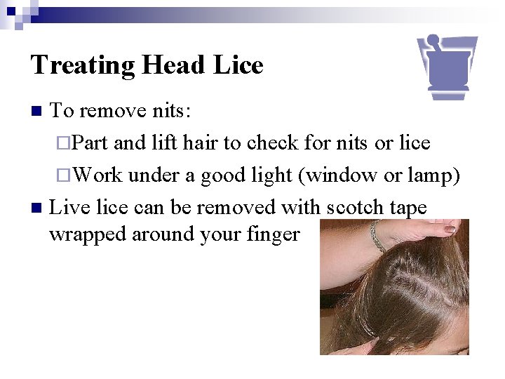 Treating Head Lice To remove nits: ¨Part and lift hair to check for nits
