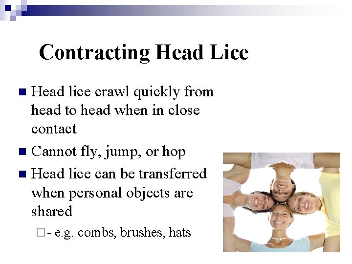 Contracting Head Lice Head lice crawl quickly from head to head when in close